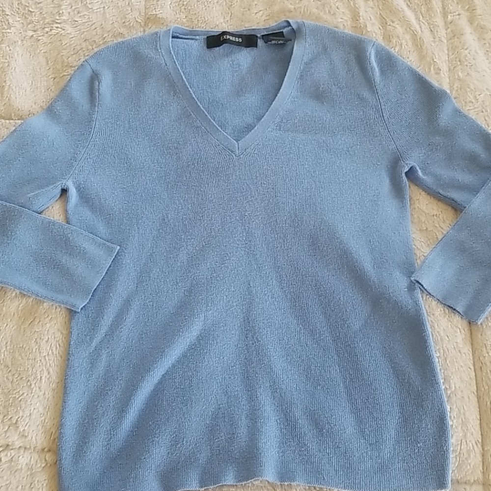 Light blue v-neck express sweater